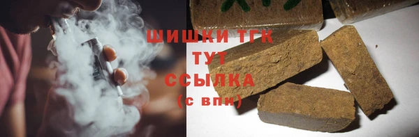 гидра Михайловка