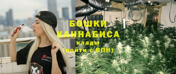 гидра Михайловка