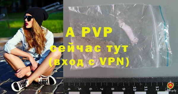 гидра Михайловка