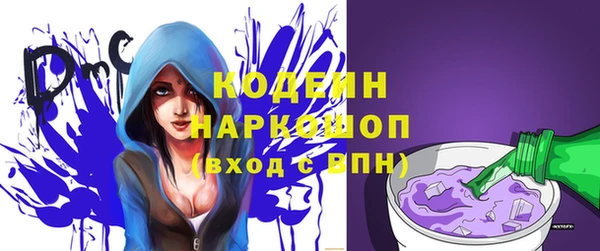 гидра Михайловка