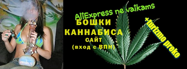 гидра Михайловка