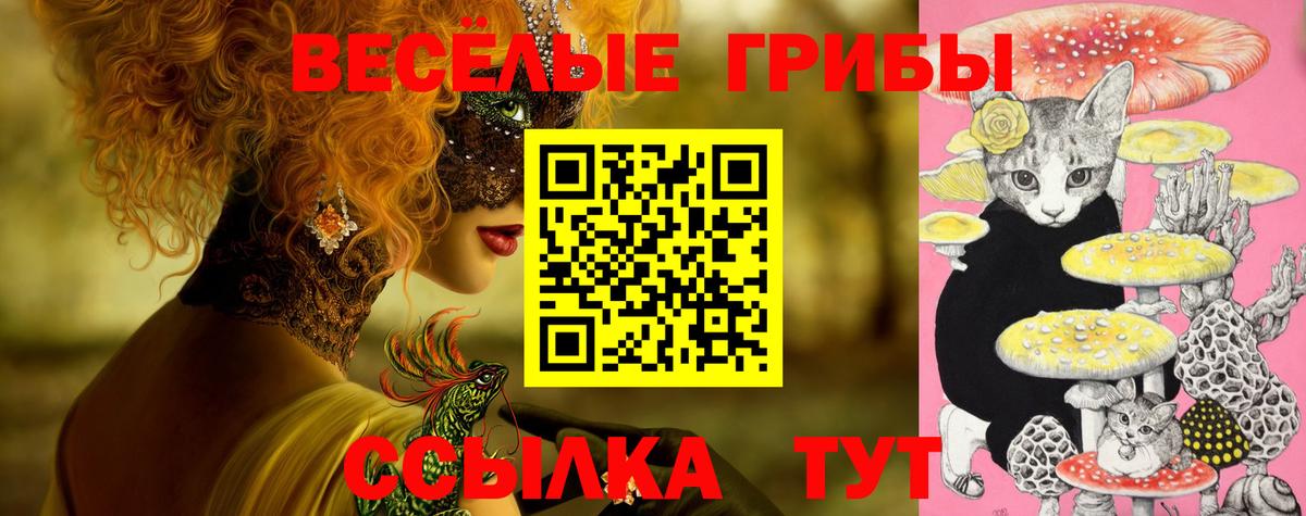 Псилоцибиновые грибы прущие грибы  Вход с VPN  Нижневартовск  Псилоцибиновые грибы мухоморы 